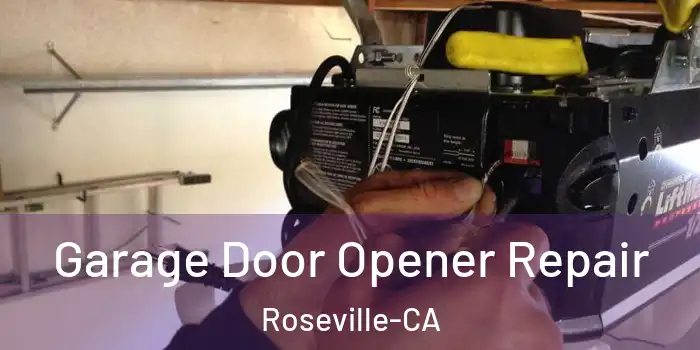  Garage Door Opener Repair Roseville-CA