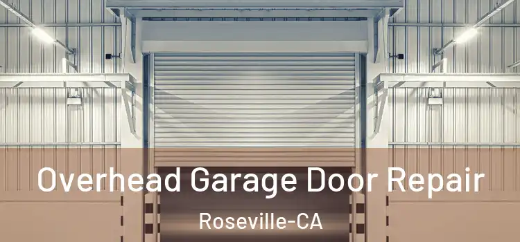  Overhead Garage Door Repair Roseville-CA